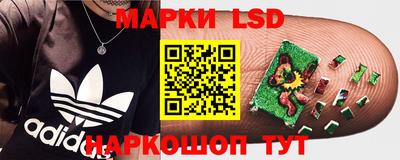 стафф Будённовск