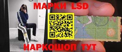 стафф Будённовск