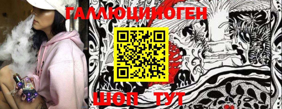 Псилоцибиновые грибы Psilocybe Скопин