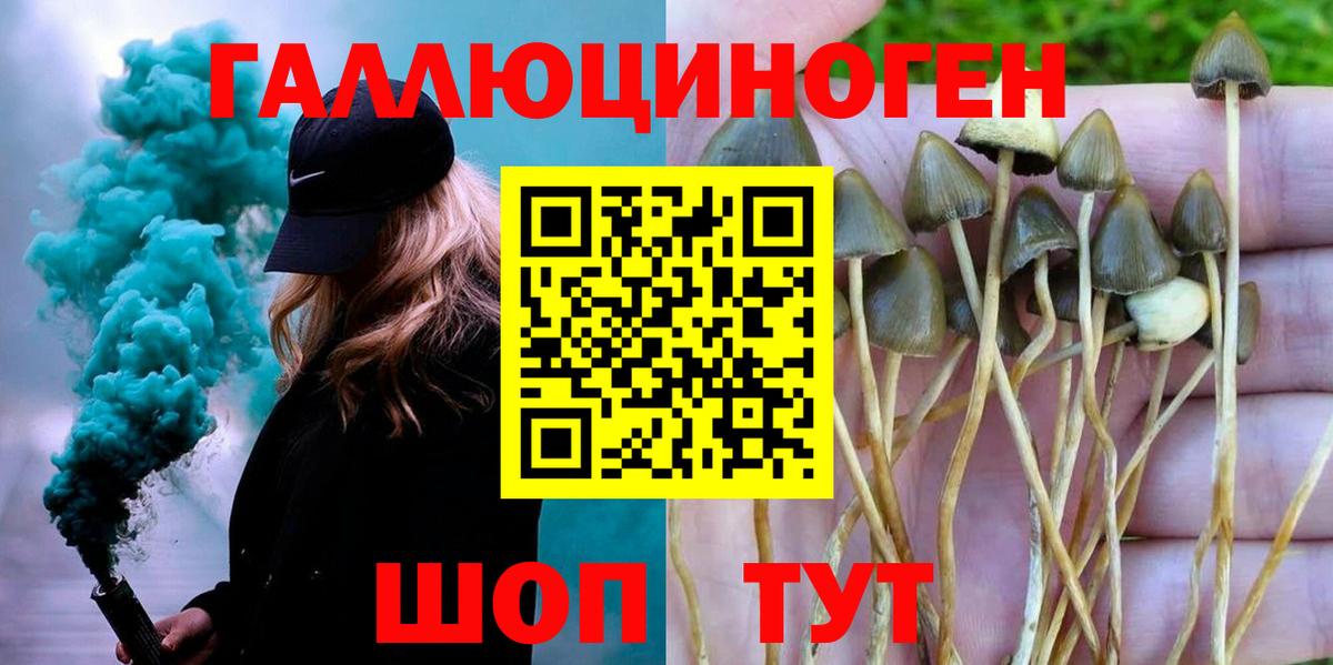 Галлюциногенные грибы Psilocybe  Галлюциногенные грибы Cubensis  Вход с VPN  Скопин 